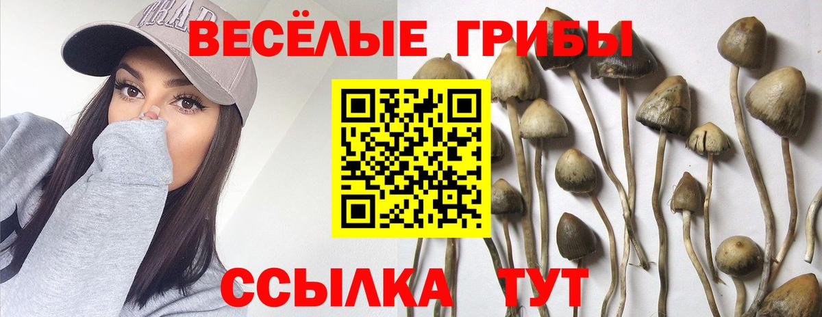Ханты-Мансийск  Псилоцибиновые грибы GOLDEN TEACHER  Галлюциногенные грибы мицелий  Вход с VPN 